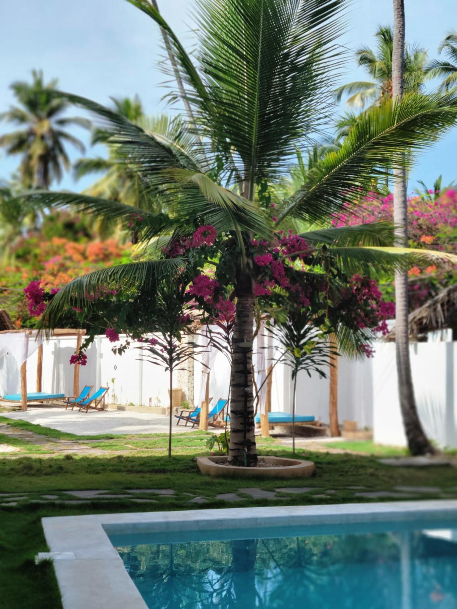 Mambo Cabana Pwani Mchangani Buitenkant foto